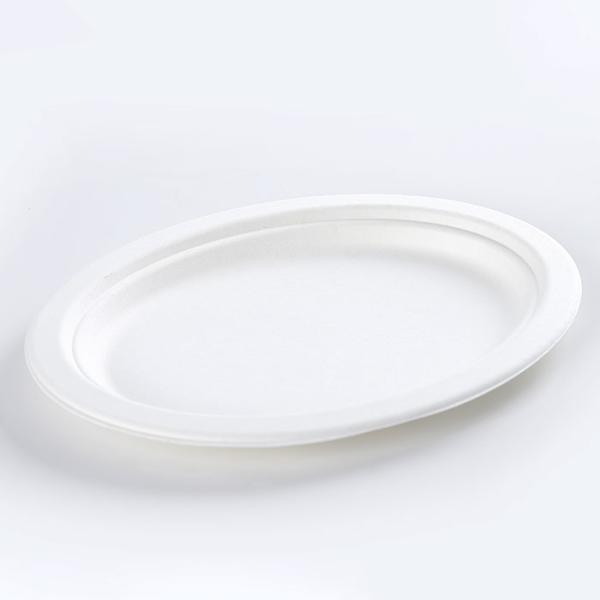 Wholesale a biodegradable sugarcane birthday cake plate western plate food