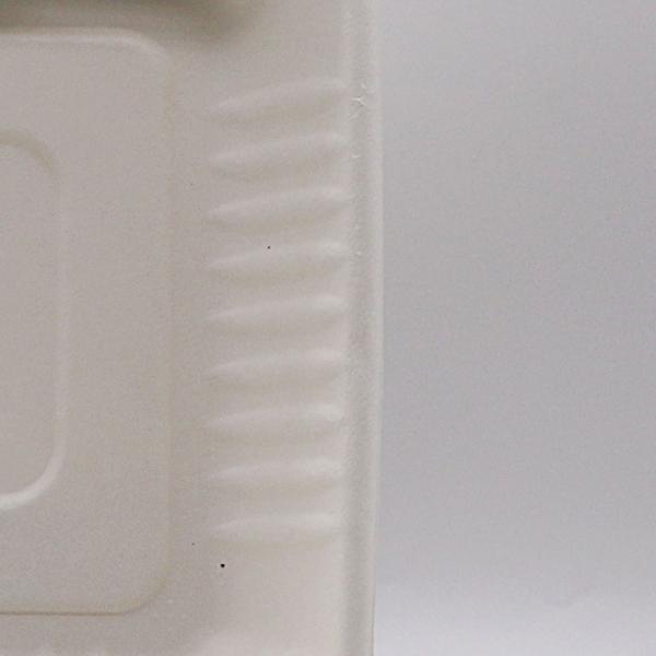 biodegradable disposable sugarcane bagasse takeaway food container packaging 3 compartment lunch box