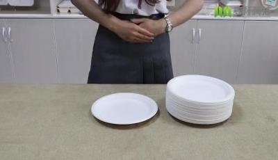 32oz Bagasse Pulp Oblong Biodegradable Disposable Tray BRC Certified Factory Price