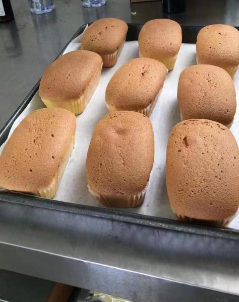 Food Machinery Depositor Machine food  filling injection equipment for cup cake bread