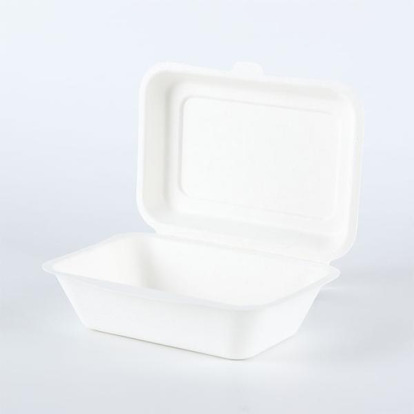 600ml sugar cane bagasse compostable takeout lunch box