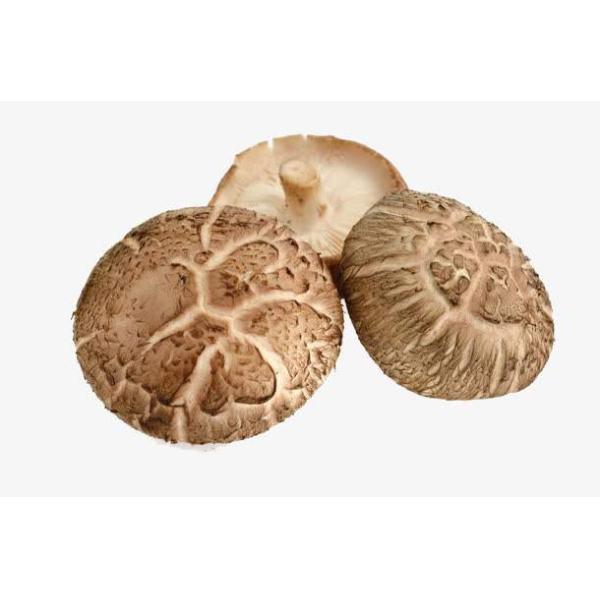 Shiitake Mushroom Extract, Lentinan, Lentinan Extract, Lentinus edodes Extract, Shiitake polysaccharides,