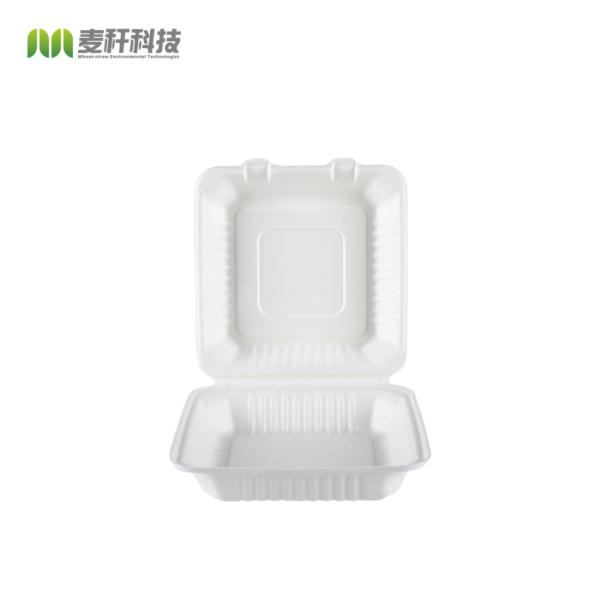 Sugarcane Bagasse Fiber Food Packaging Box 5 - 9inch Size LFGB Tested