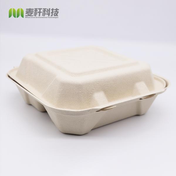 8x8 inches bagasse heavy duty take out lunch box hinged clamshell container
