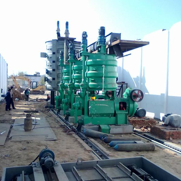 Longer Automatic Screw Sunflower Oil Press Machine/Sunflower Oil Refining Machine/Sunflower Oil Making Machine