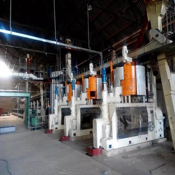 Automatic 100TPD sunflower cotton seed Large oil press plant supplied by manufacturer