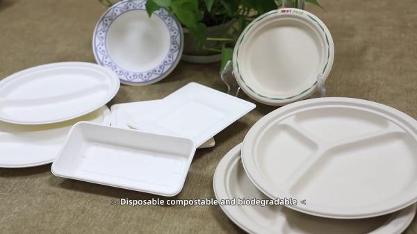 2022 Free Plastic Disposable Serving Trays , Biodegradable Sugarcane Bagasse Food Fruit Trays