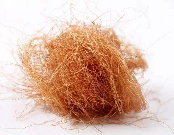 Zea mays Extract, Corn Silk Extract 5:1, Corn stigma Extract, Corn Musk Extract,