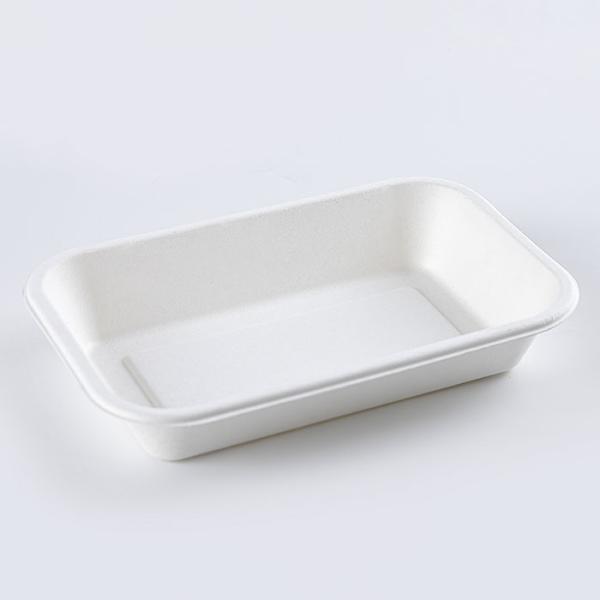 Sugarcane Pulp Biodegradable Disposable Tray Rectangular Dining Box
