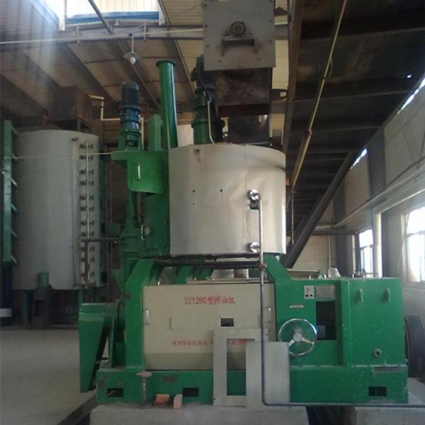 Automatic 100TPD sunflower cotton seed Large oil press plant supplied by manufacturer