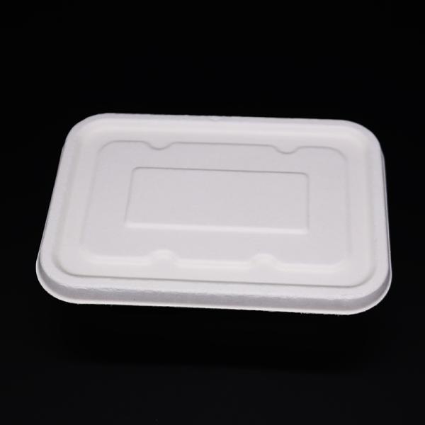 Sugarcane Bagasse Biodegradable Disposable Box , White Takeaway Food Tray With Lid