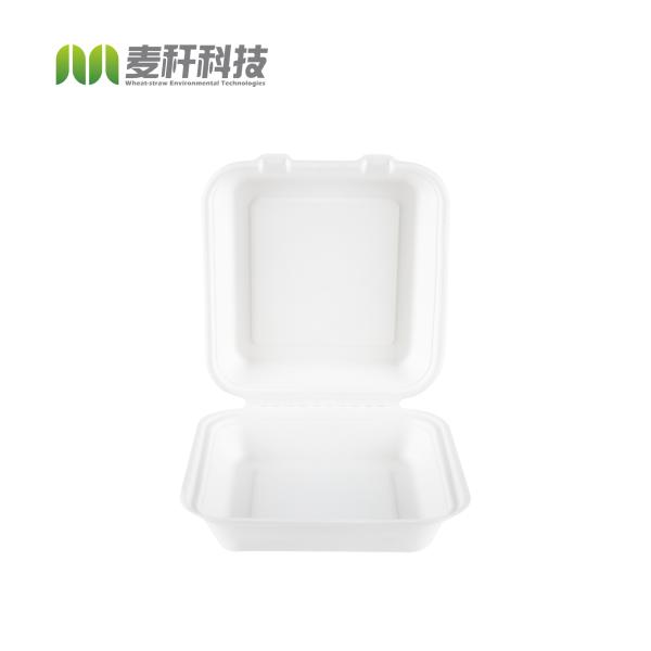 Biodegradable sugarcane Packaging Lunch Box Eco-Friendly Food Containers Meal Box