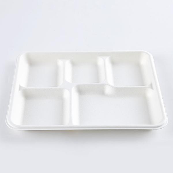 Eco Friendly 5c Biodegradable Disposable Tray Sugarcane Bagasse Products Compostable