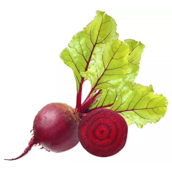 Beetroot extract, Beet juice powder, Garden beet Powder, Beet powder, natural pigment, factory