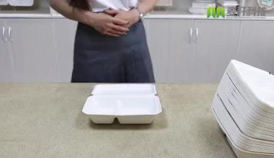 Brc Verified Factory Supply 24oz Eco Friendly Disposable Food Containers Bagasse Pulp Biodegradable Sugarcane Tray