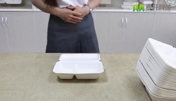 8 heavy duty compostable microwave and refrigerator safe takeaway biodegradable food packaging