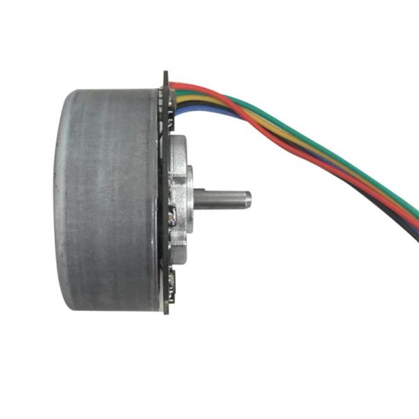 BL4525 factory Price 24V 23W 45mm bldc brushless dc motor 3200RPM for Fascia Massage Gun Massage Equipment BL45250