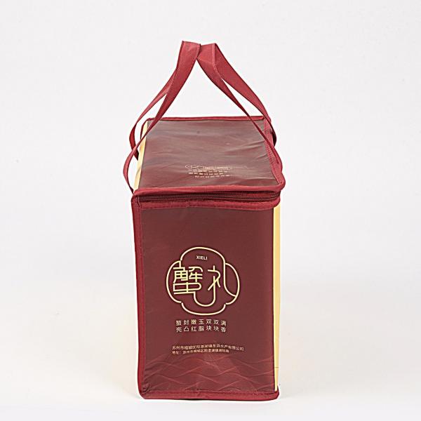 China Manufacture Eco Friendly Bag Waterproof Thermal Non Woven Insulated Grocery Reusable Ice Bag Shop