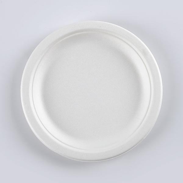 Biodegradable Snacks Sugar Steak Cane Bagasse Disposable Fast Food Plates round square oval rectangular