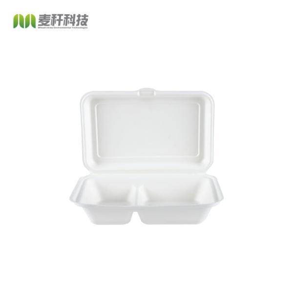 Container Eco-friendly Sugarcane Pulp Takeaway Food Packaging Box Alternative to Plastic Factory Supply Restaurant Paperboard