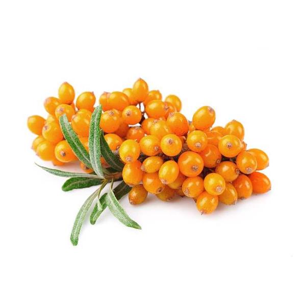 Seabuckthorn powder, Seabuckthorn Juice powder, Sea-buckthorn Extract powder, natural beverage material