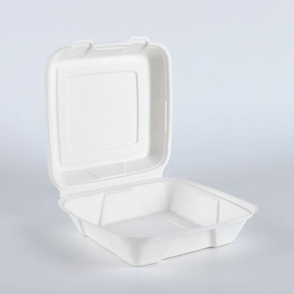 Compostable Sugarcane Bagasse fiber take away take out fast food biodegradable disposable packaging box container Microwave Safe