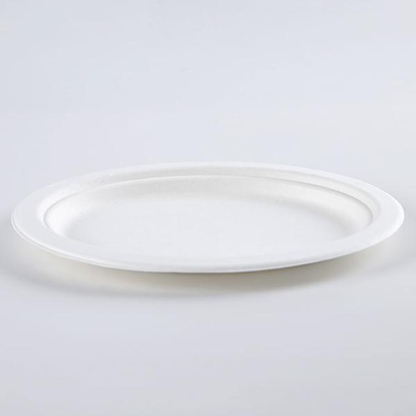 Biodegradable Sugarcane Pulp Party Dinnerware Plate Sugarcane Bagasse Paper Plate Round Disposable Plate dishes