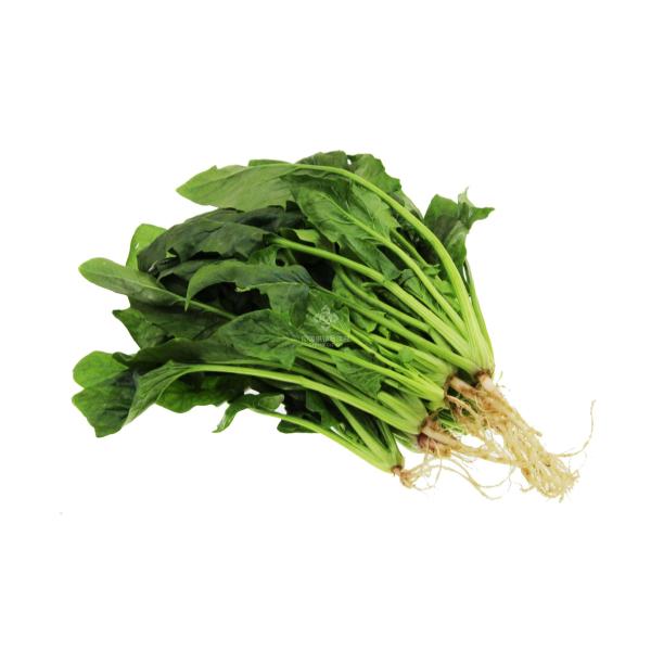 Natural Spinach Powder,  Spinacia oleracea leaf powder, Spinach green powder no additive