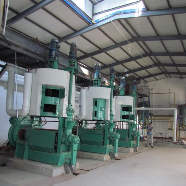 first grade palm peanut pre-press oil press seed expelling press extraction