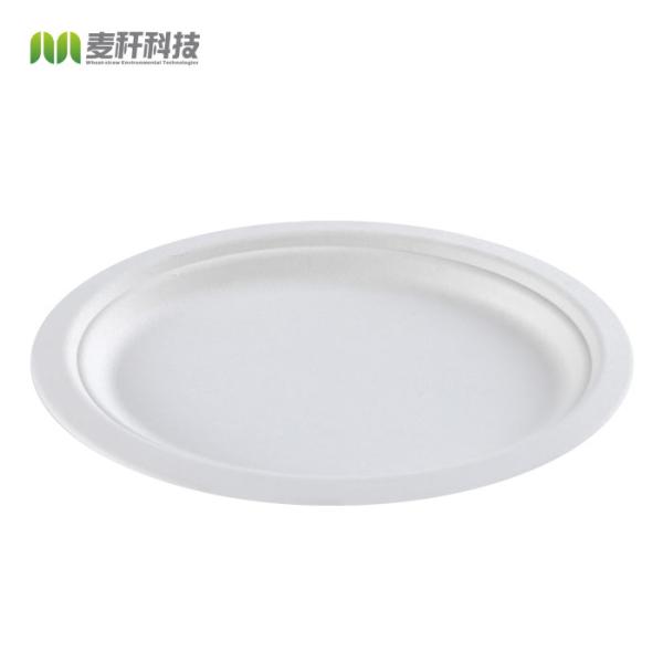 wholesale biodegradable sugarcane tableware disposable bagasse compostable paper 10 inch plates manufacturer