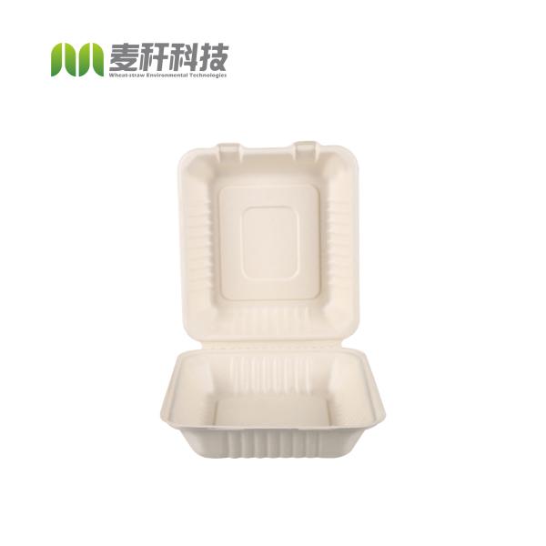 biodegradable disposable sugarcane bagasse takeaway food container packaging clamshell lunch box