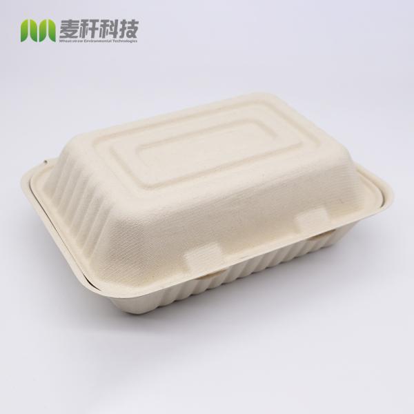 Free Plastic Eco Food Pack Clamshell Take Out Containers Biodegradabe Lunch Box
