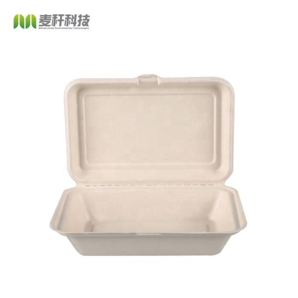 9 X 6 Natural Fiber Clamshell Take Out Boxes , Bagasse Sugarcane Pulp Molding Hoagie Box