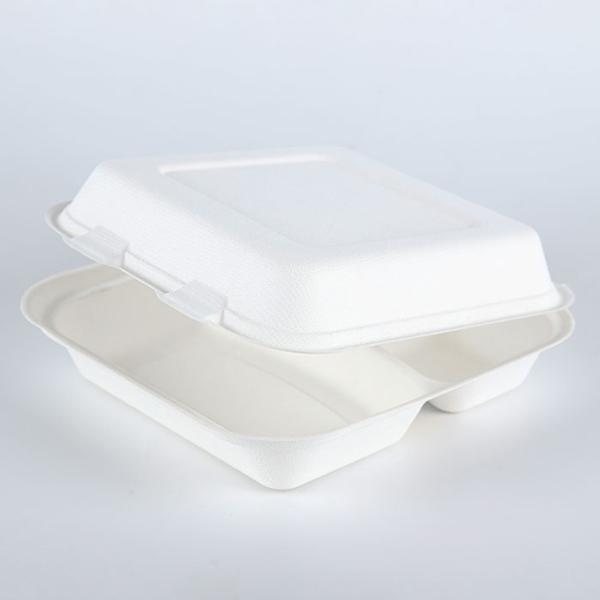 8 inches Biodegradable sugarcane bagasse 3 division disposable food packaging container boxes
