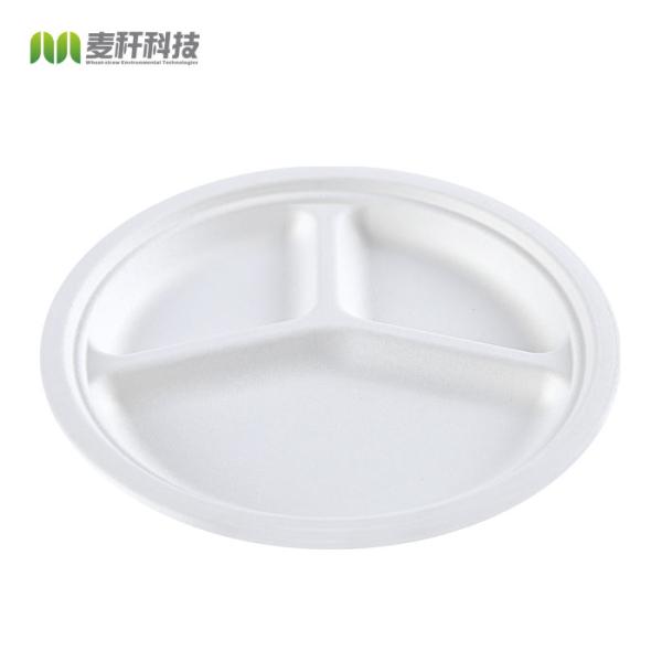 USA Market Compostable BBQ Tableware Bagasse 3 compartment Round Plate
