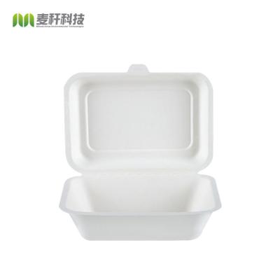Biodegradable sugarcane bagasse disposable compostable clamshell take away food containers lunch boxes with compartment