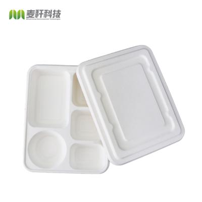 New item Compostable bagasse oblong 5 section compartment dinner Plate