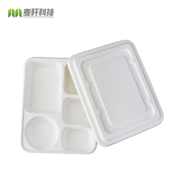 New item Compostable bagasse oblong 5 section compartment dinner Plate
