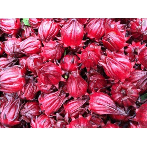 Hibiscus Extract, Roselle Anthocyanins 5%, Hibiscus Sabdariffa Extract, Hibiscus sabdariffa flower extract