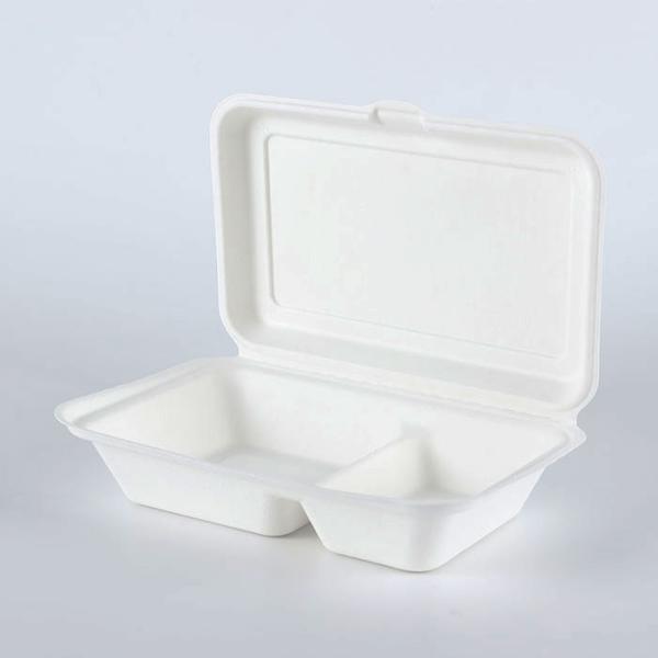Reduce plastic Biodegradable Disposable Eco future food containers tabelware dinnerwares
