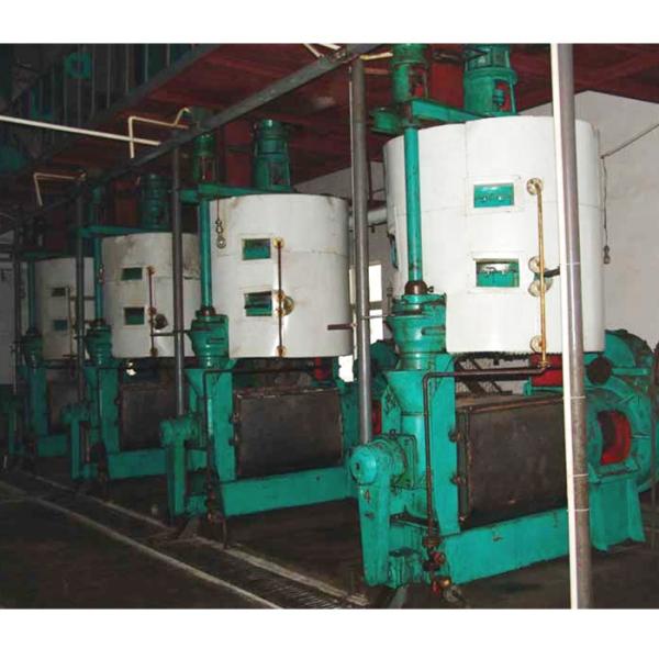 coconut palm cotton sunflower seed oil first press line expeller extracting machine