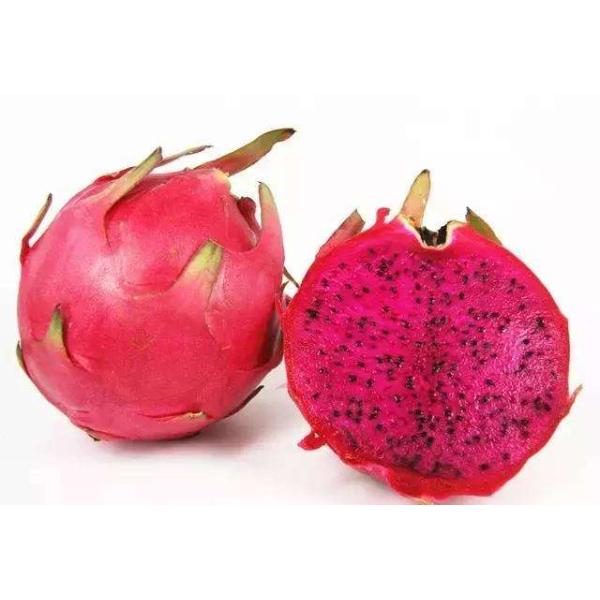 Dragon fruit extract, Pitaya Extract, Pitaya fruit powder, natural food