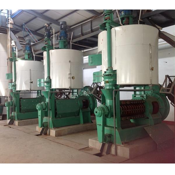 edible vegetable cooking sunflower seed screw oil press production line oil expeller extraction