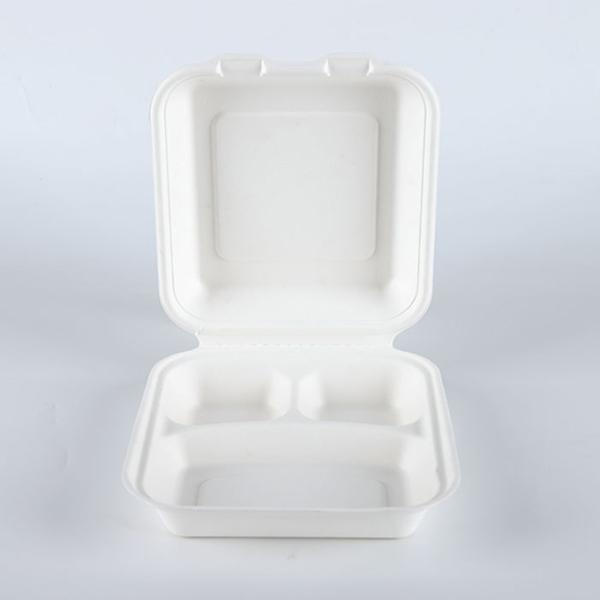 8 inches Biodegradable sugarcane bagasse 3 division disposable food packaging container boxes