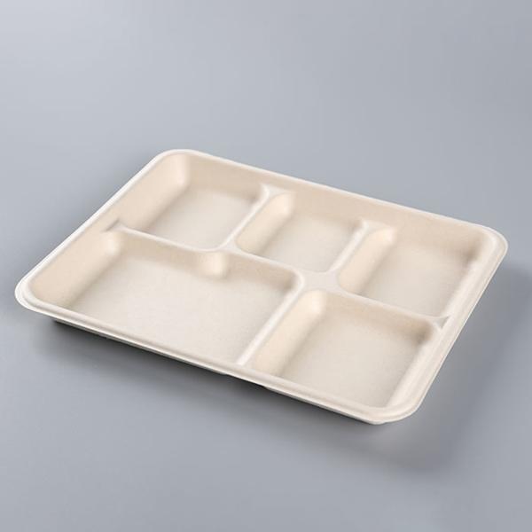 Fiber 5 Section Compartment Biodegradable Disposable Tray Hot Selling