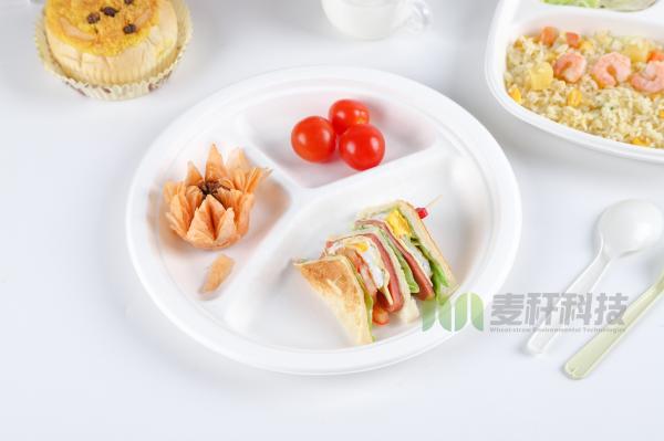 Sugarcane Bagasse Dishes Compostable Biodegradable Disposable Plate Dinnerware Restaurant Use