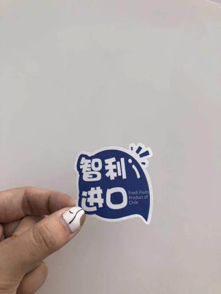 Custom Printing Adhesive Waterproof Food Packaging Label Logo Sticker Roll Adhesive Packaging Label