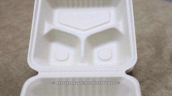 Compostable Tray Bento Clamshell Take Out Containers Lunch Meal Box