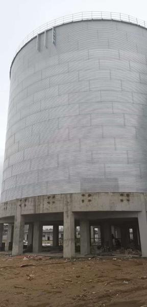harvest season paddy wheat corn soybean grain storage silo