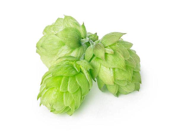 Xanthohumol 98% HPLC, Humulus lupulus Extract,  Hops Extract Xanthohumol, CAS No.: 6754-58-1